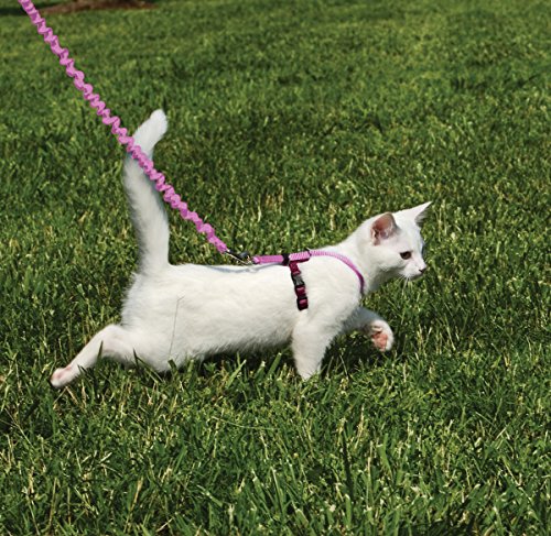 Petsafe Come With Me Kitty Harness And Bungee Leash, Harness For Cats, Small, Dusty Rose/Burgundy - 2