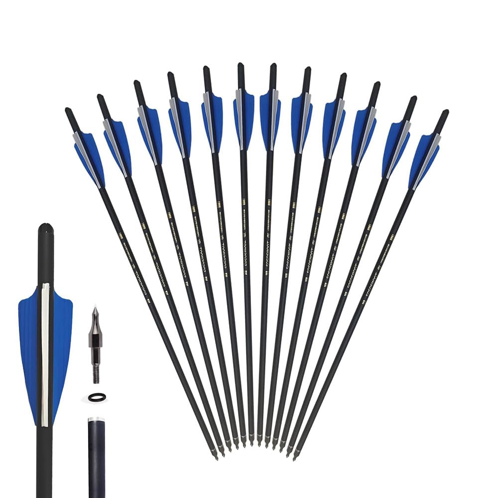 20 Inch Carbon Crossbow Bolts and Hunting Broadheads kit, Carbon Crossbow Arrows for Hunting and Outdoor Practice (20 Inch Arrow)