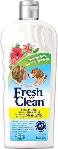 PetAg Fresh 'n Clean Oatmeal 'n Baking Soda - Champú para perros - Aroma fresco tropical - Fortalece, repara y protege el abrigo de tu perro - 18