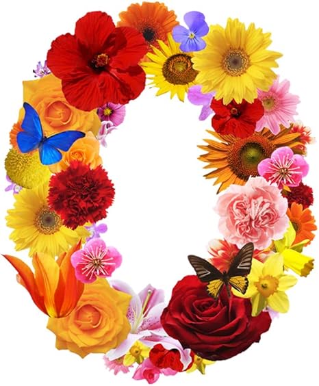 Amazon 一文字からの 数字 ステッカー 花 フラワー Mサイズ 5cm 5cm 一文字からの 数字 ステッカー 0 ゼロ Mojis Flowe0m0 Ds ウォールステッカー オンライン通販