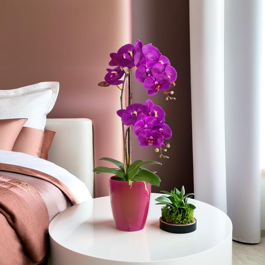 Santino Zestaw 4 doniczek na orchidee o średnicy 12 cm, z systemem knot i wskaźnikiem poziomu wody do wnętrz, fioletowy, 1,3 l