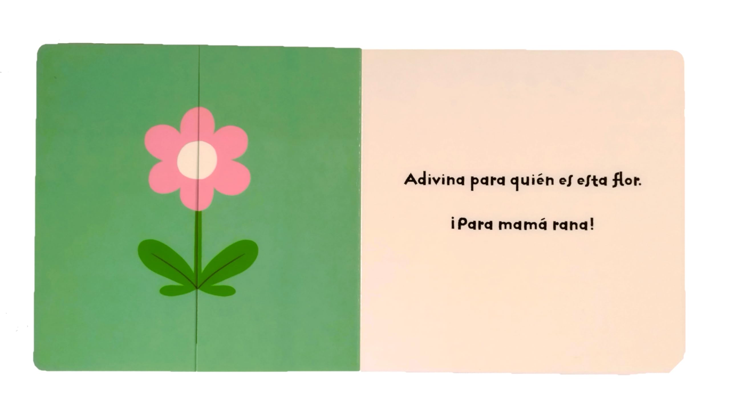 ¡Adivina! (SIN COLECCION)