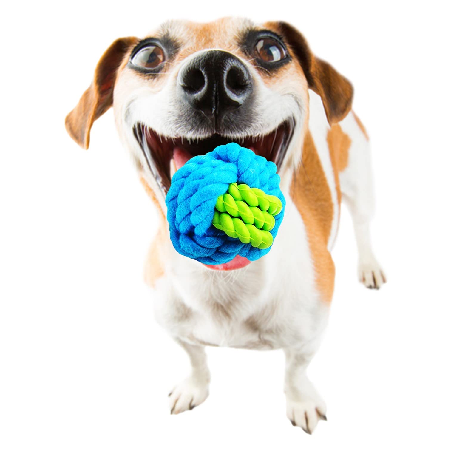 Amazon.co.jp: GoFetch PLATZ PET SUPPLISES&FUN(プラッツ)犬用