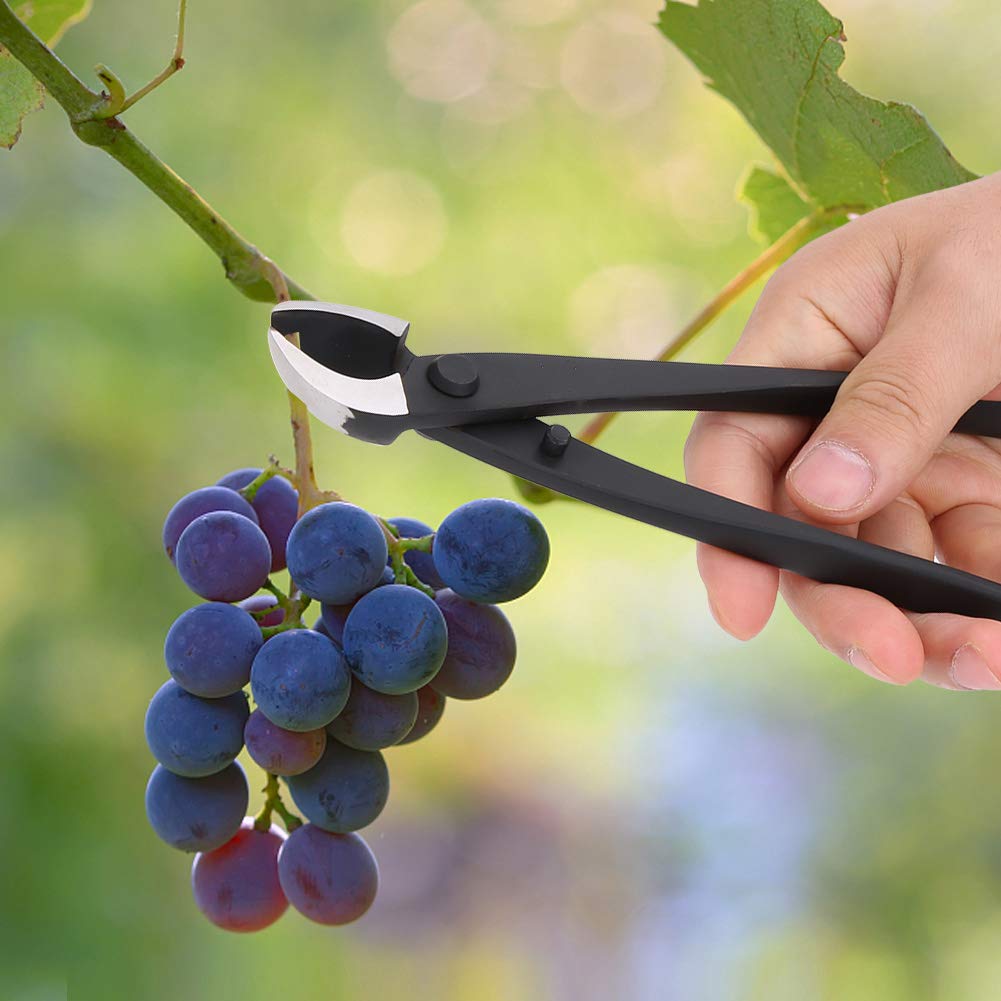 Oumefar 8, 1 Zoll Manganstahl Manueller AST Konkavschneider Garden Bonsai Cutter Tool Astschneider Scharfe Klinge Konkave Wurzelschneider mit runder Kante