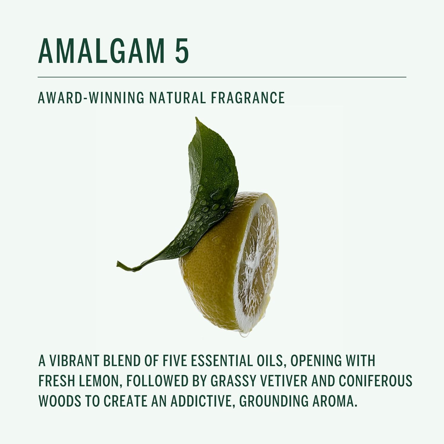 Corpus - Amalgam 5 Aromatic Hand Wash with Argan Oil + Vitamin E, Clear, 300 ml (Pack of 1) - Image 3
