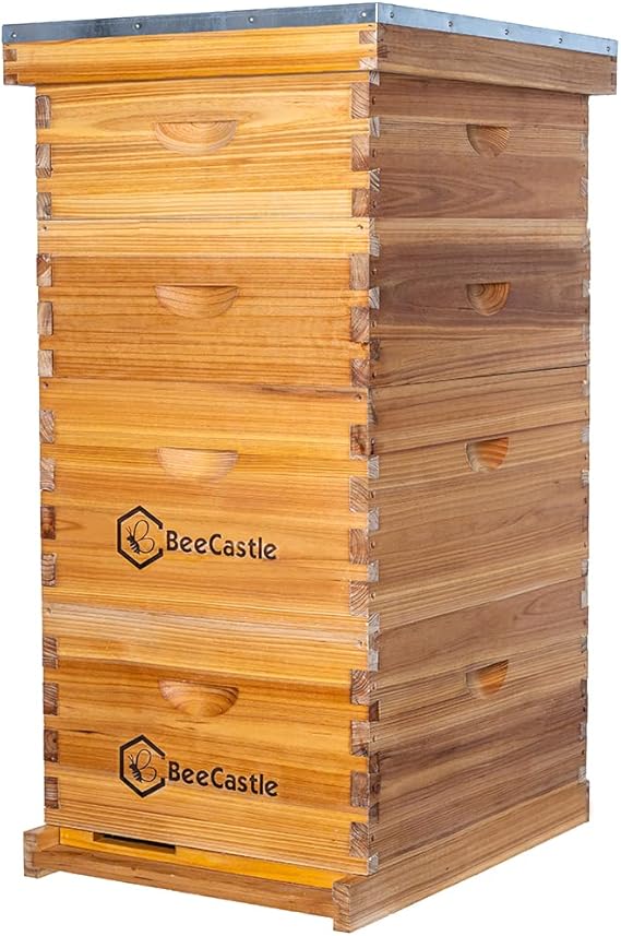 BeeCastle 10 Frame Langstroth Bee Hive Coated with 100% Beeswax Includes Beehive Frames and Waxed Foundations (2 Deep Boxes & 2 Medium Boxes)