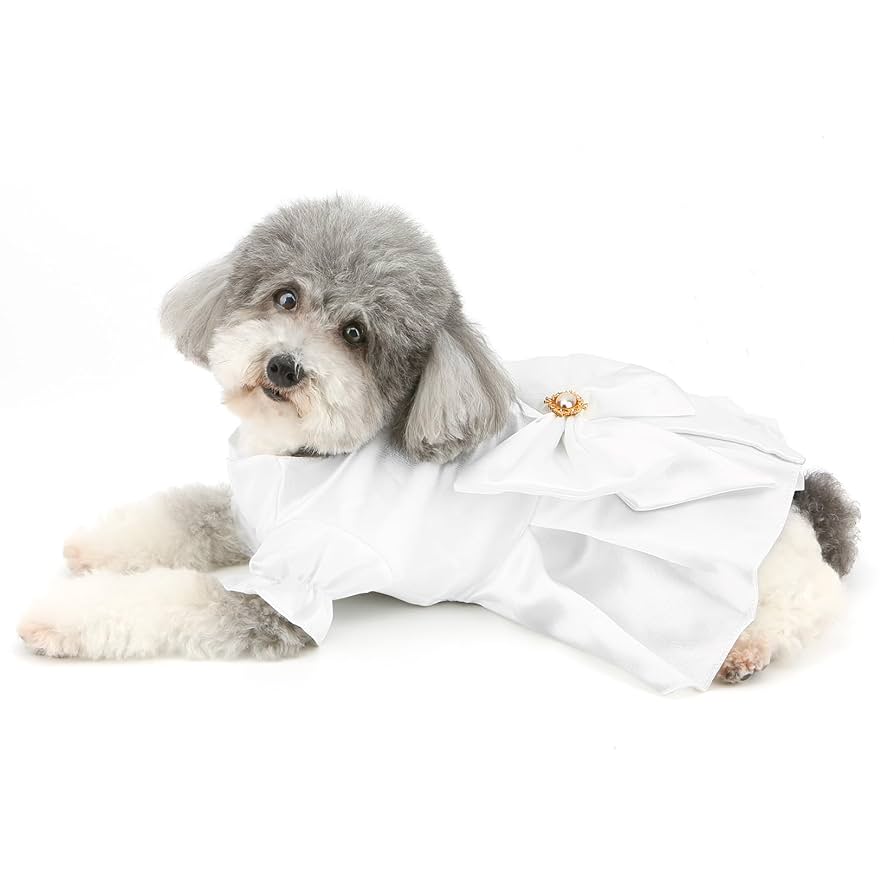 Amazon.co.jp: 犬服 フォーマルドレスワンピース ホワイト可?い