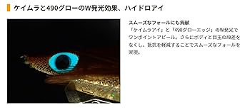 ヤマシタ　2.5号　17個　人気セット 61Z1gZFRqTL._UF350,350_QL50_.jpg