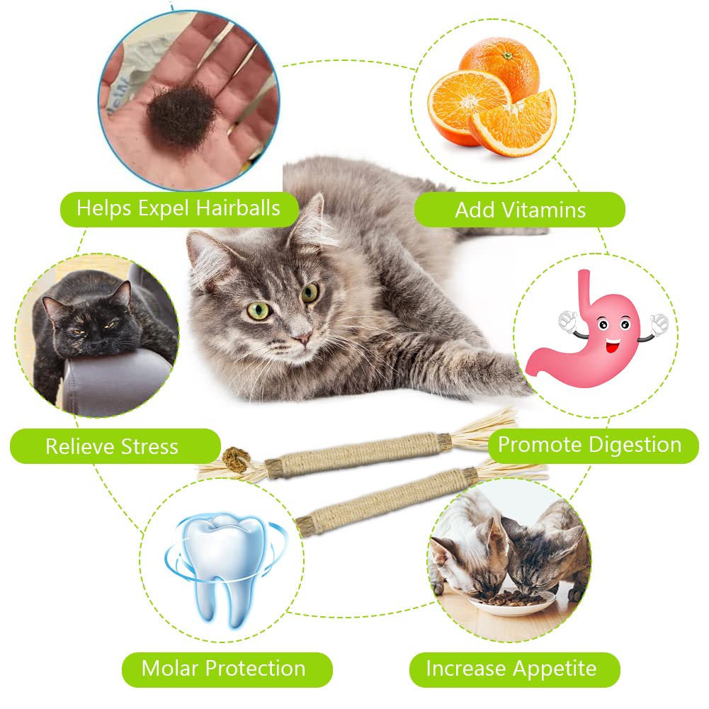 Giocattoli di Erba Gatta, 6 Pezzi Bastoncini da Masticare per Gatti, Naturale Bastoncini Matatabi per Gatti, Denti di Gatto Pulizia Masticare Giocattoli, per Eliminare Alitosi e Tartaro