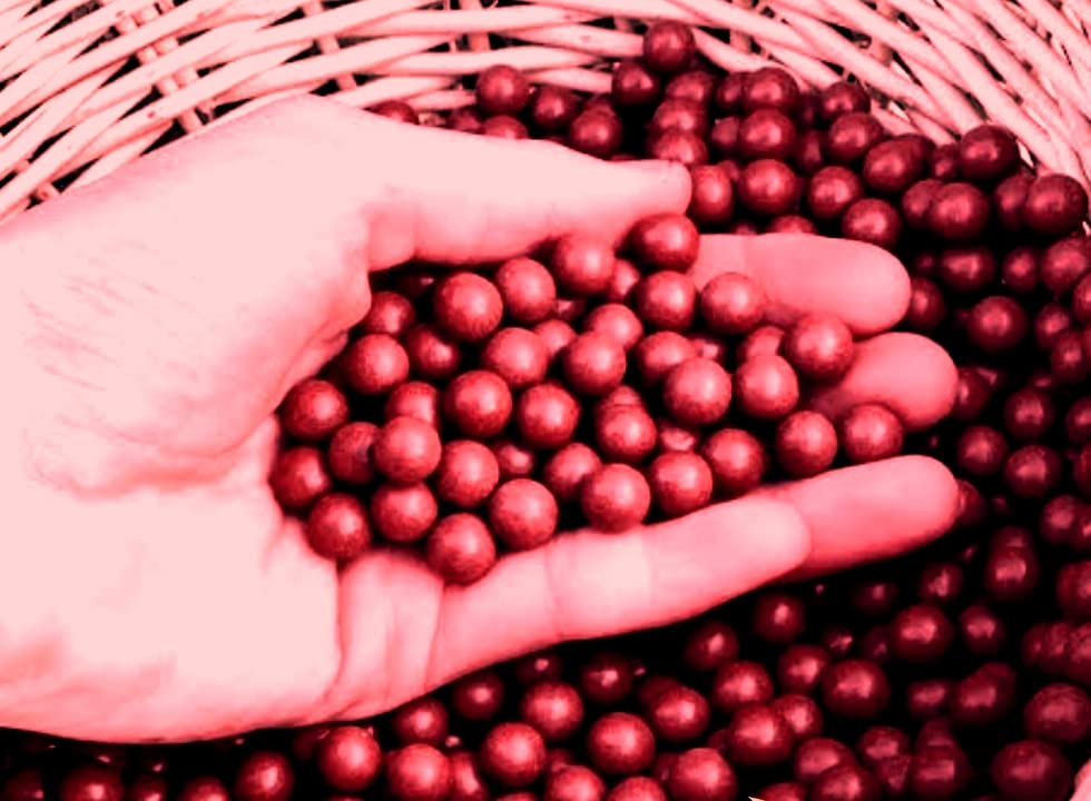 Clay Balls [ Slingshot Clay Balls ]-Qty 500 Size 8-10 mm - Red Color. (B0CGB2RR4L) Amazon Price History, Amazon Price Tracker