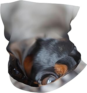 Unisex Workout Headbands Non Slip Sport Sweatbands Yoga Hairbands for Travel Fitness Athletic Moisture Wicking - Dachshund Weiner Pet Dogs