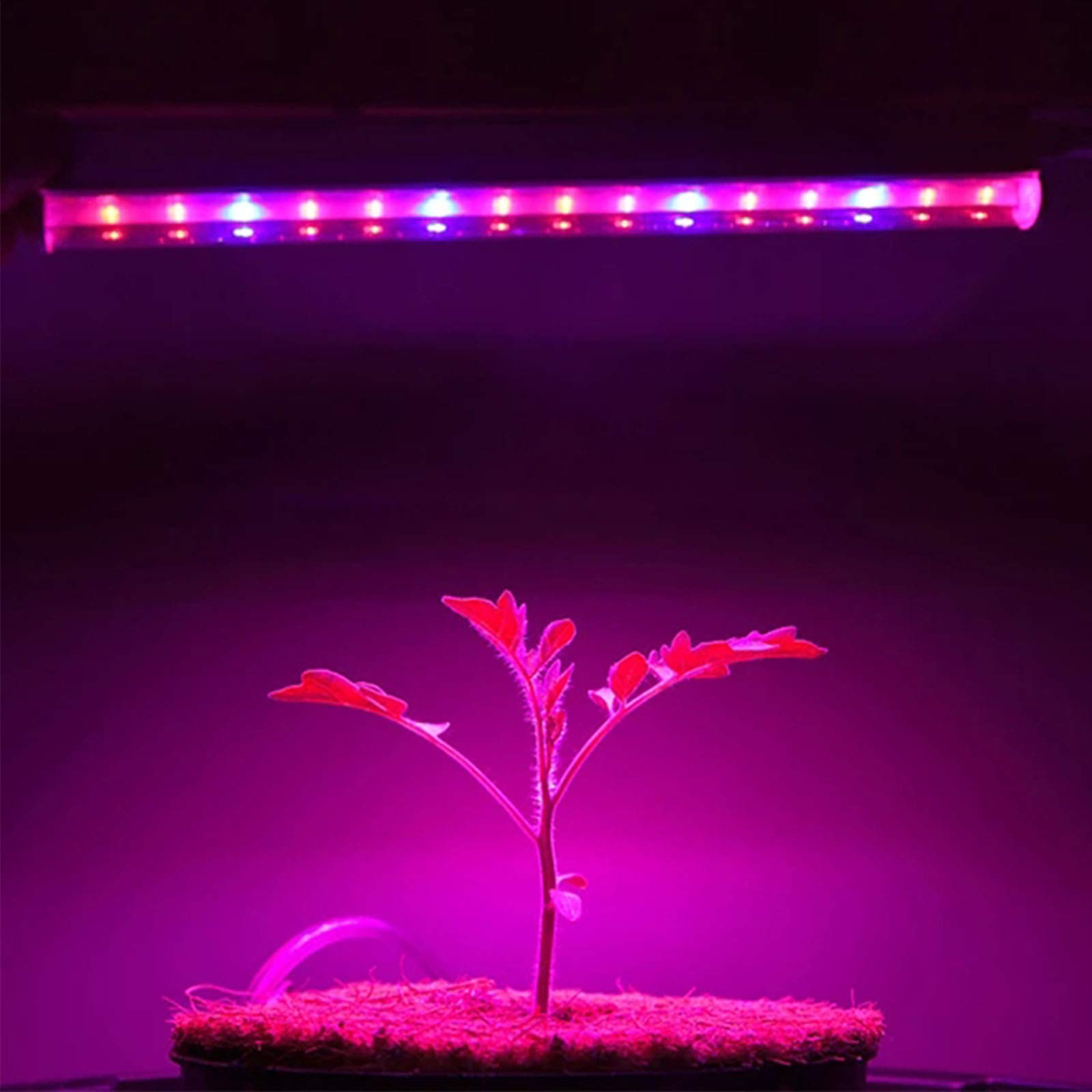 RONGGO 3m LED Grow Lights Growing Light Fixture Growing Strip Lights 75 LEDs 5730 SMD 4 Connectors 1 Set Violet 100-240 V
