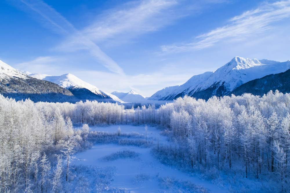 絵画 Winter Mountains Winter Mountain Landscape Cross Stitch Pattern: Scenic