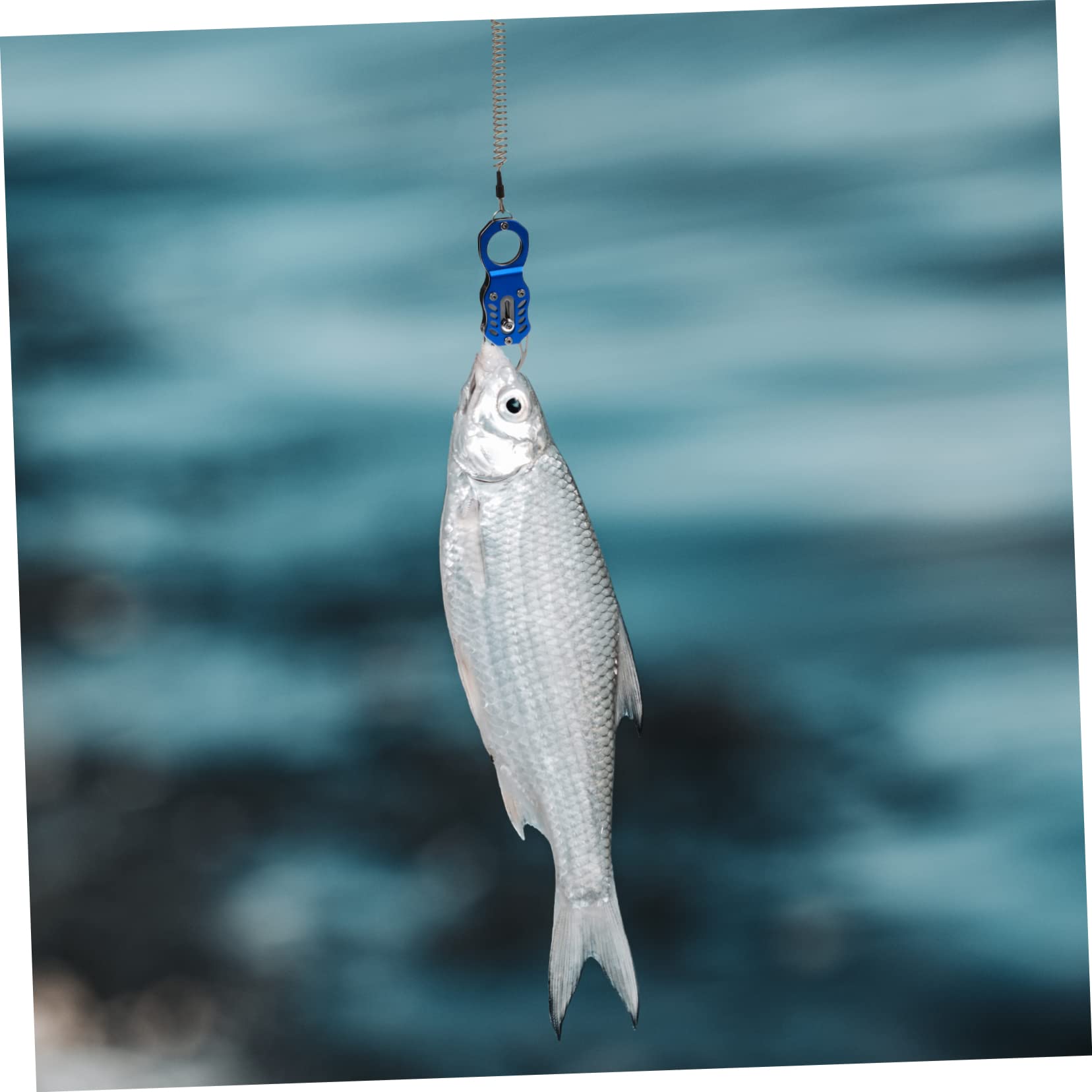 BESPORTBLE 2pezzi Pinza Per Pesca Inossidabile Multifunzione e Leggera Strumento Portatile Per Catturare Pesci Con Manico Ergonomico Per Appassionati Di Pesca All Aperto