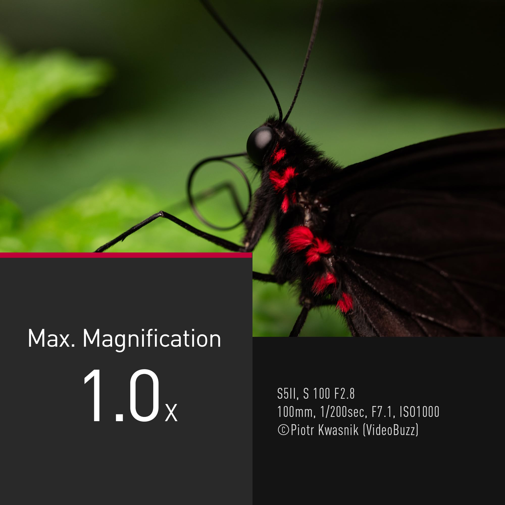 Panasonic Lumix S-E100 100mm F2.8 Macro, Obiettivo per Fotocamera Full Frame, Compatto e Leggero, 298g, Motore Lineare a Doppia Fase, Ingrandimento Dimensione Reale 1:1, Ottimale per Video, Nero