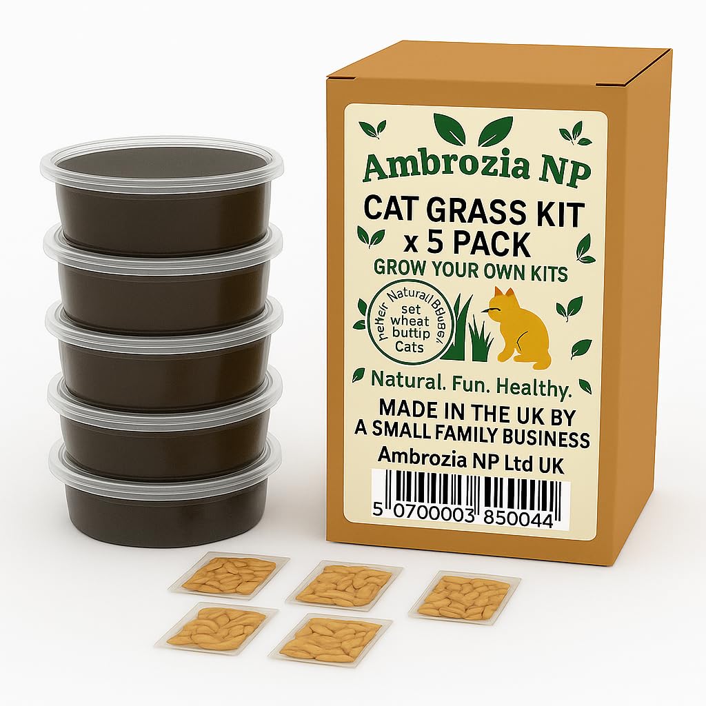 Ambrozia NP Cat Grass Kit x 5pack mix (Wheat, Oat, Rye and Barley), Natural - Image 3