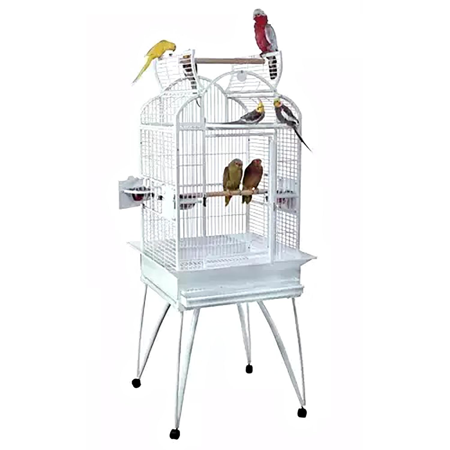 Amazon.com: Kings Cages: Medium Bird Cages