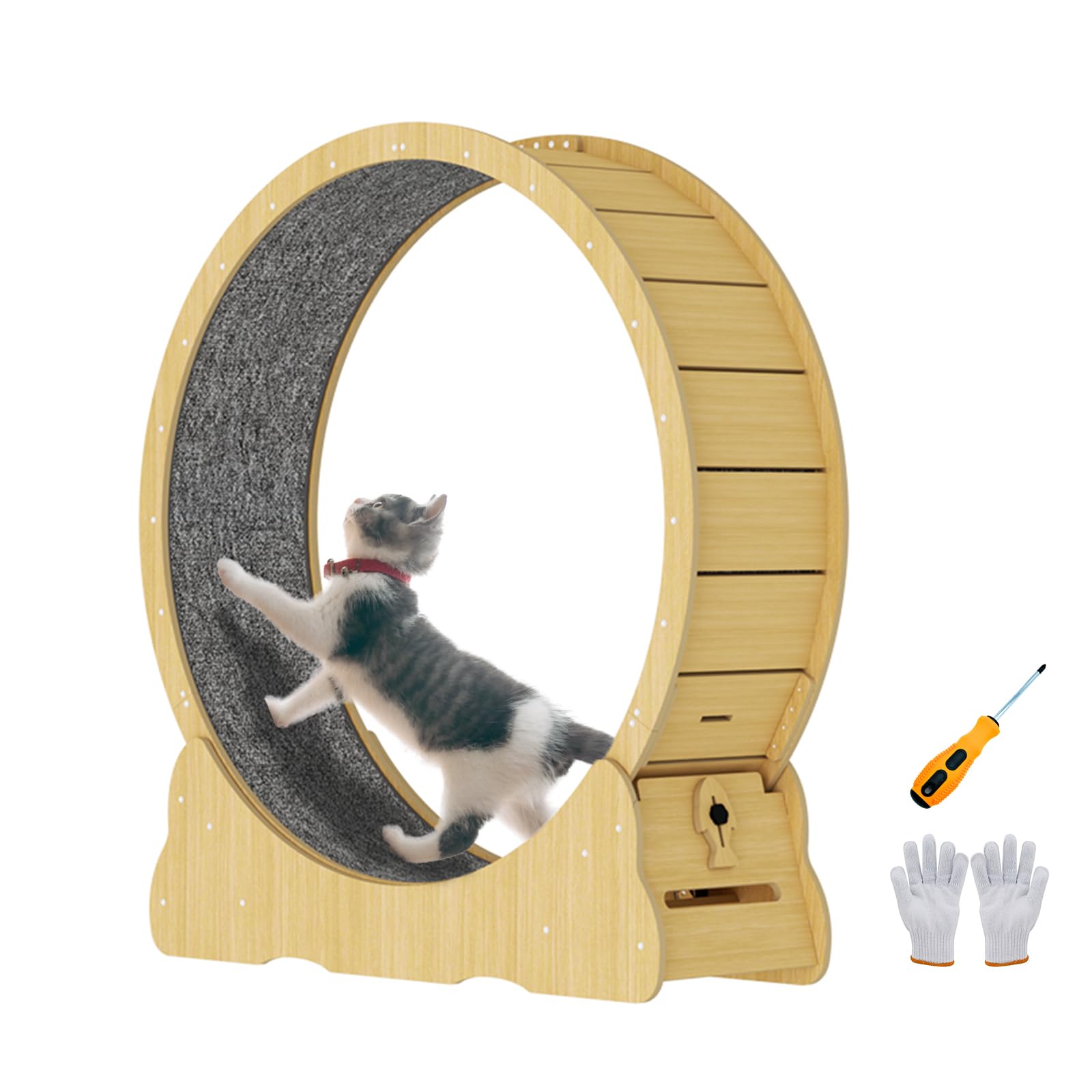 Amazon | Ciaobot キャットホイール 猫 直径110cm XLサイズ 室内飼い猫  