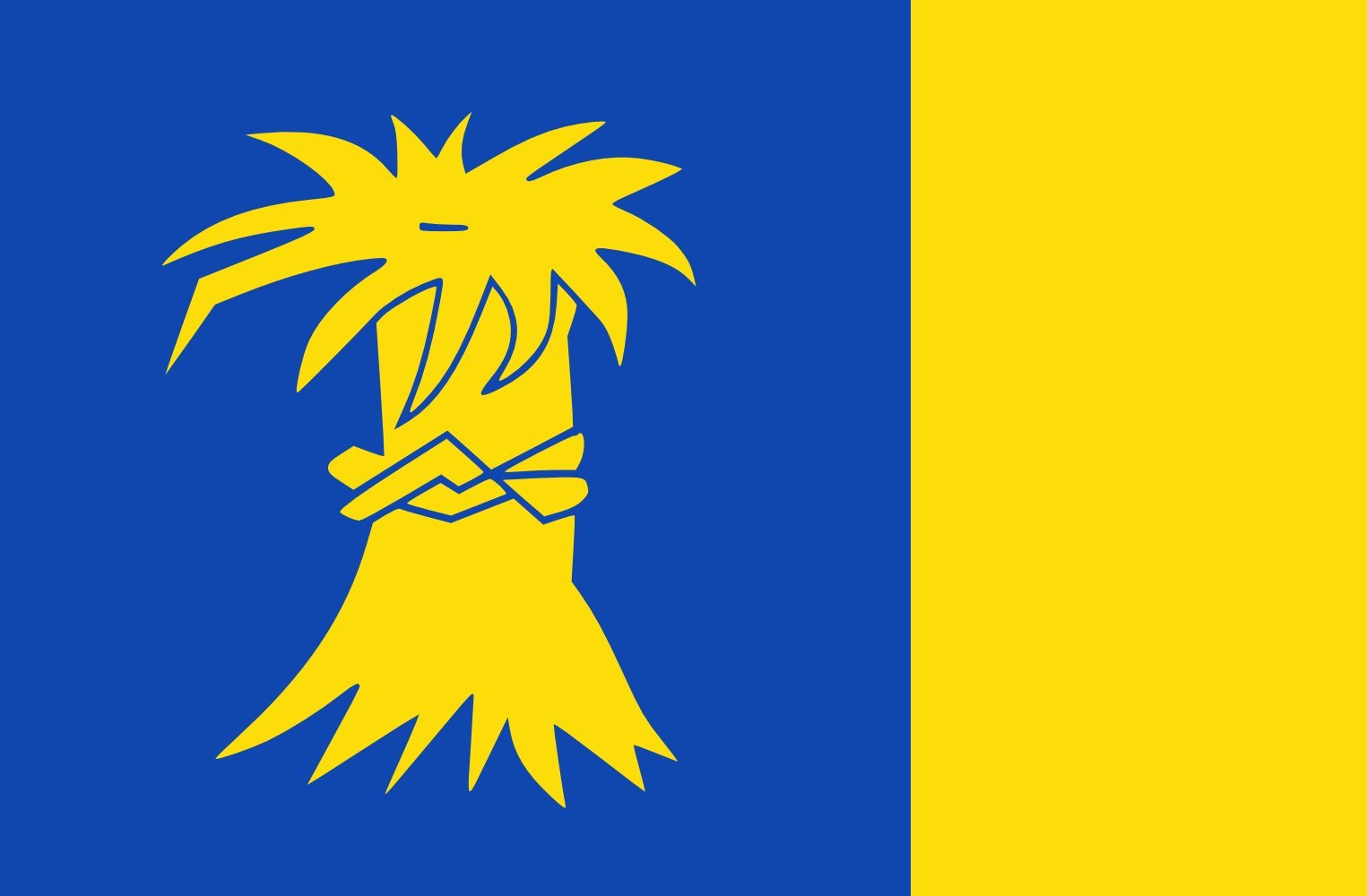 Drapeau Reduzum vlag grand format dorpsvlaggen Friesland