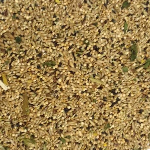 Sweet Harvest Canary Bird Food - Image 2