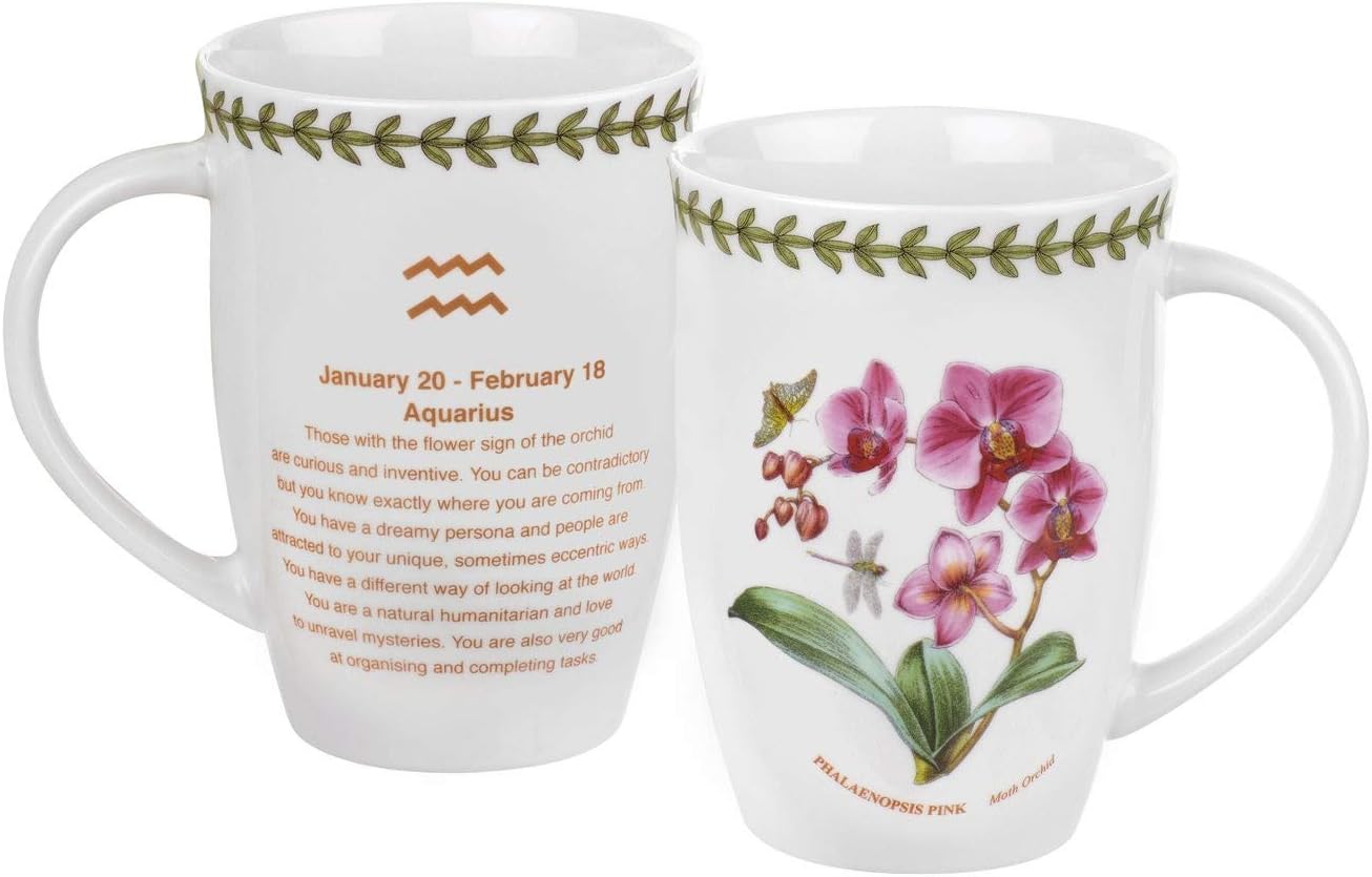 Zodiac 12.6 oz. Aquarius/Orchid Mug Coffee Cups & Mugs