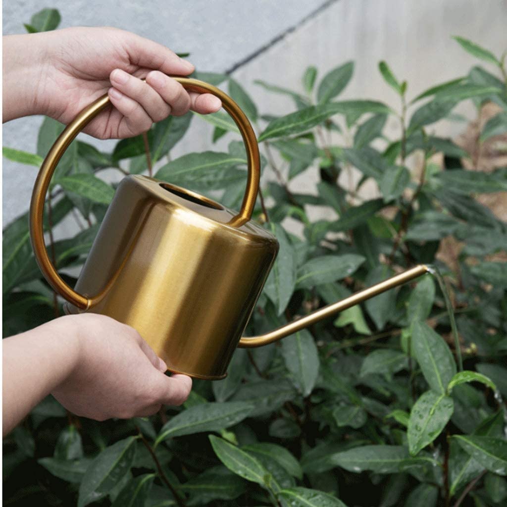 Regadera, Decorativa Moderna Regadera De Jardín Acero Inoxidable 1.3L Pequeña con Mango for Plantar Flores Latas de Riego