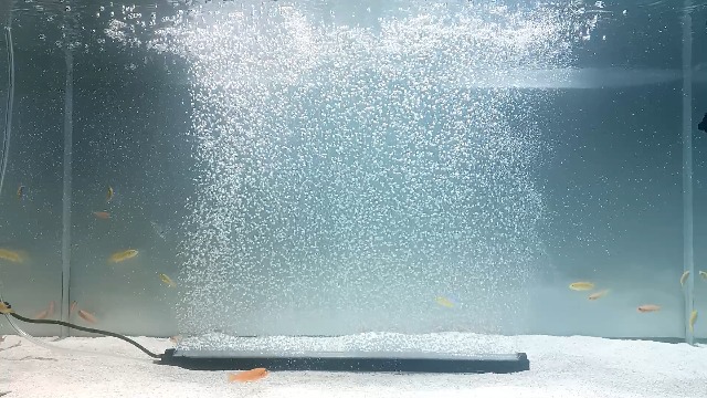 Image of Carefree Fish Aquarium 24 /7 Mode Timer Submersible LED Light Full Spectrum CRI 82~85 Tank Underwater Light & Nanometer Materials Air Stone 3Ft Tubing Waterproof Rating IP68 (No Included Air Pump)