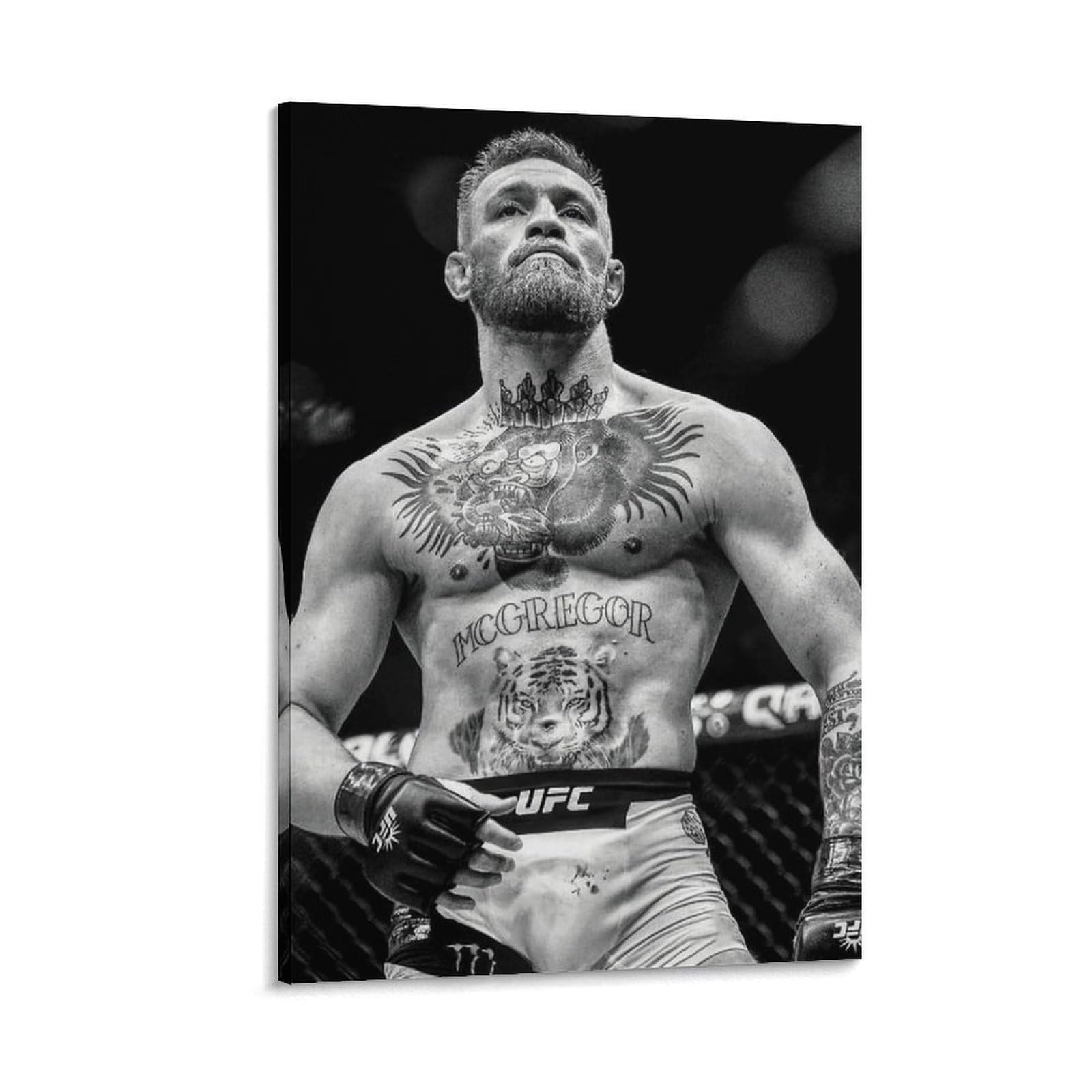 ASUIU Conor McGregor Canvas Poster Wall Art Poster Prints Home Decor Picture Canvas Painting Posters 20x30inch(50x75cm)