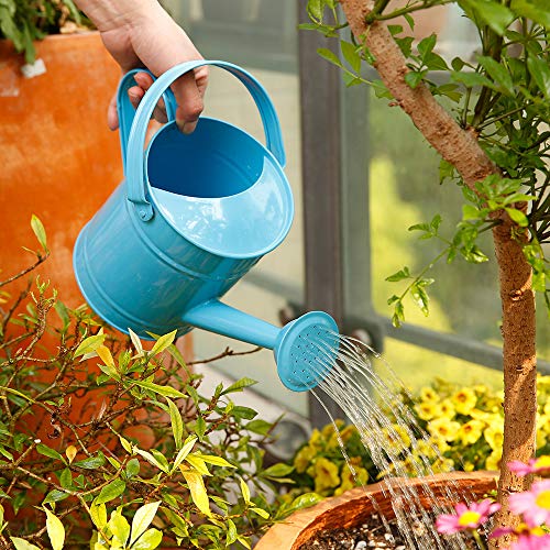 Sungmor-15L-or-51oz-Blue-Metal-Watering-Can-Kids-Children-Garden-Outdoor-Watering-Bucket-Small-Portable-Indoor-Watering-Equipment-with-Anti-Rust-Powder-Coating-Treatment-and-Beautiful-Color Sungmor-15L-or-51oz-Blue-Metal-Watering-Can-Kids-Children-Garden-Outdoor-Watering-Bucket-Small-Portable-Indoor-Watering-Equipment-with-Anti-Rust-Powder-Coating-Treatment-and-Beautiful-Color