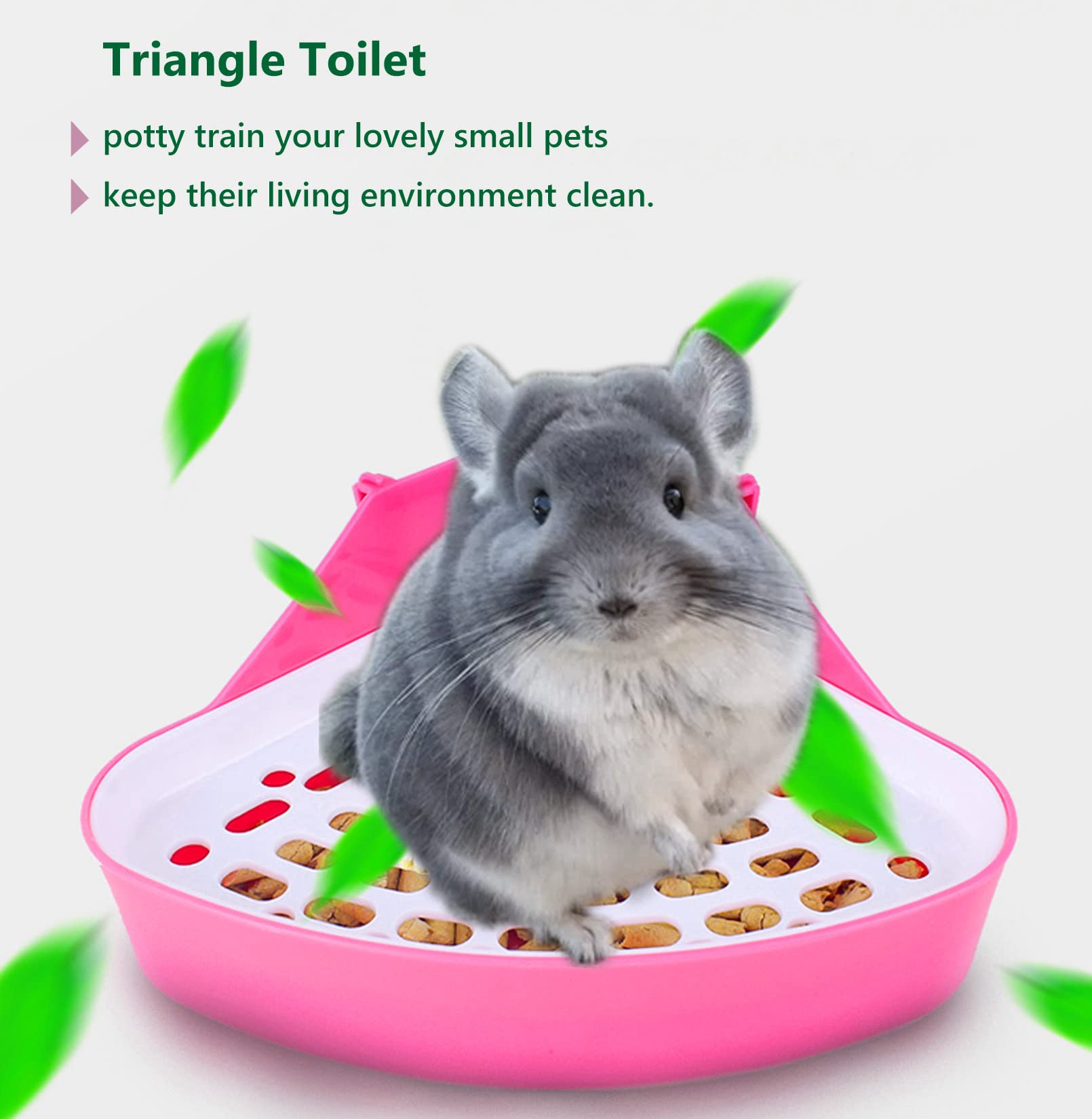 Can You Potty Train Chinchilla