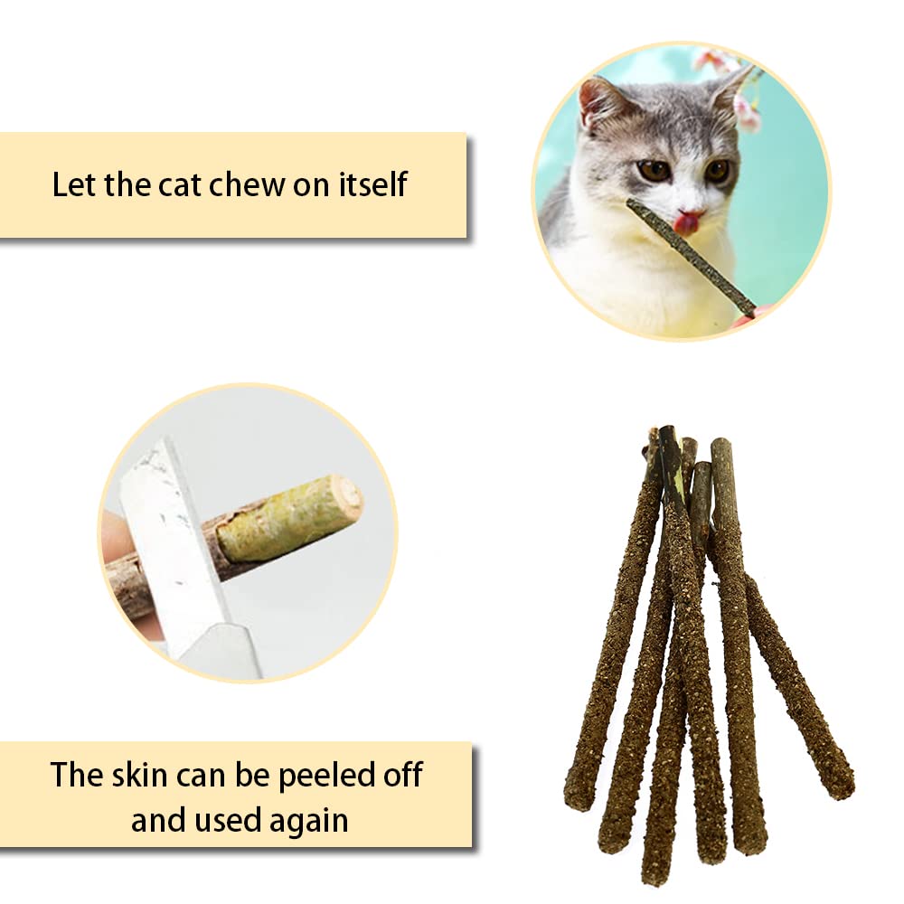 6 Palos masticables para gatos, palos de hierba gatera natural, juguetes de hierba gatera biliar, palillo de frutas, dientes de gato para limpieza de dientes de gato