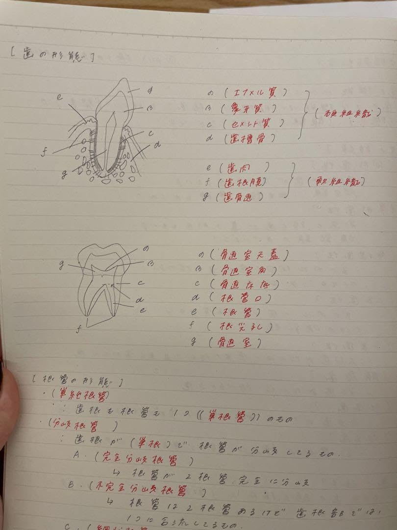 Amazon | 歯科衛生士 国試対策 まとめノート勉強 ノート | ノート