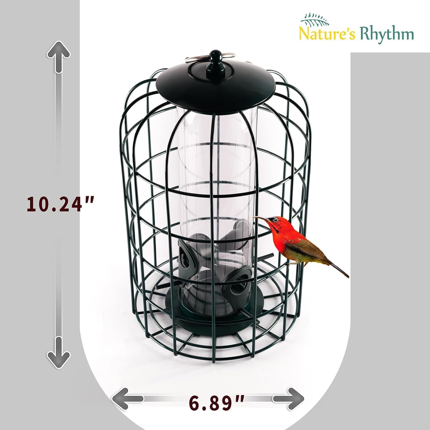 Nature's Rhythm Outdoor Hanging Bird Feeder Cage PC Tube Squirrel Proof Wild Bird Feeder with Large Metal Seed Guard Deterrent - Image 2
