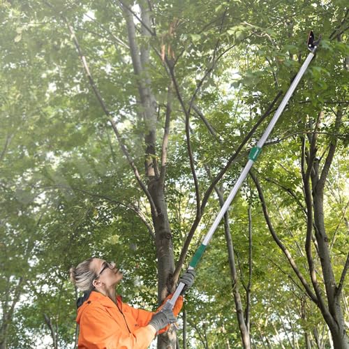 Image of Sharpex 6 Feet Long Reach Pruner Aluminum Telescopic Cut and Hold Pruner Heavy Duty For Tree Branch Cutter & Trimming, Cutting Leaves, Fruit Picker