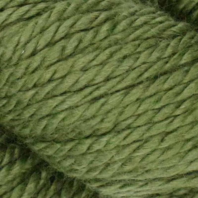 Ella Rae Cozy Alpaca Chunky Yarn (563 - Moss)