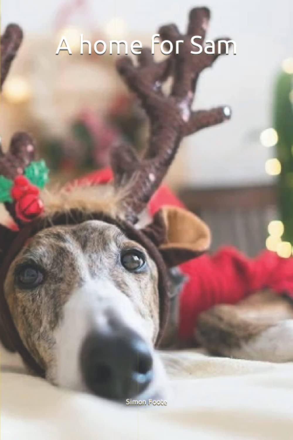 A home for Sam (dogs and puppies) Paperback – 17 Feb. 2022