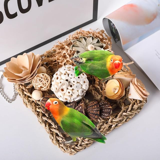Foto 4 de 6 de Yeihhtuk Juguetes para Pájaros, Juguetes para Periquitos, Juguetes para Buscar Comida, Estera de Hierba