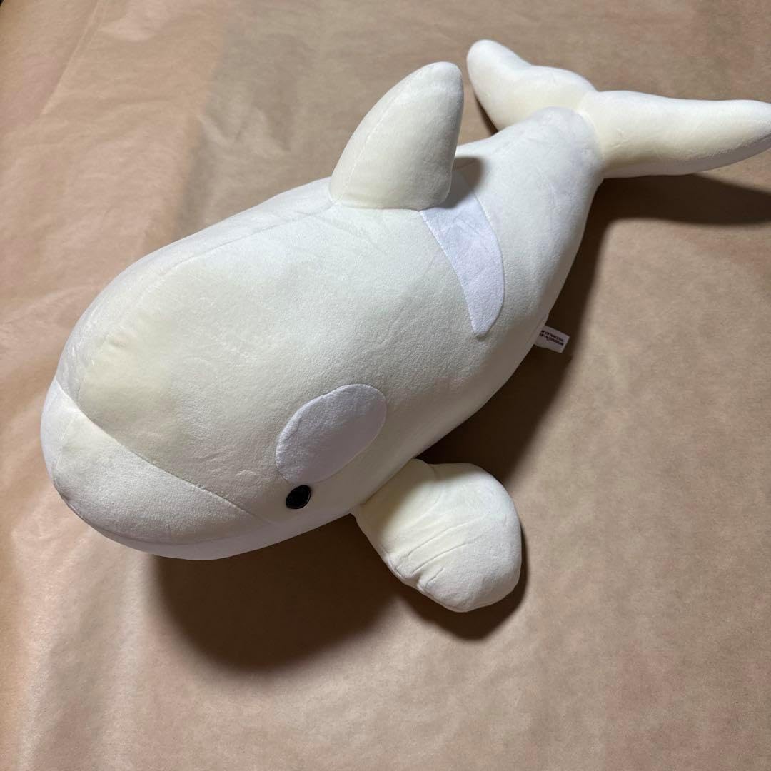 名古屋港水族館 シャチ 購入 くじ 2等 白 アルビノ 名古屋港水族館