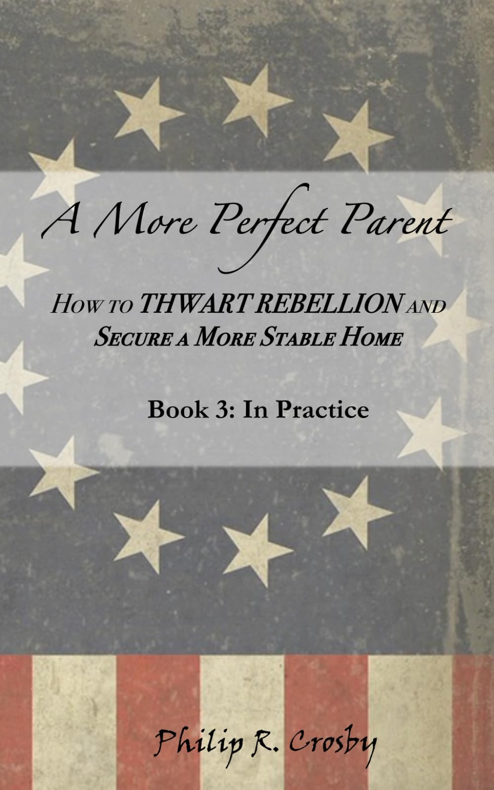A More Perfect Parent: Book 3: In Practice