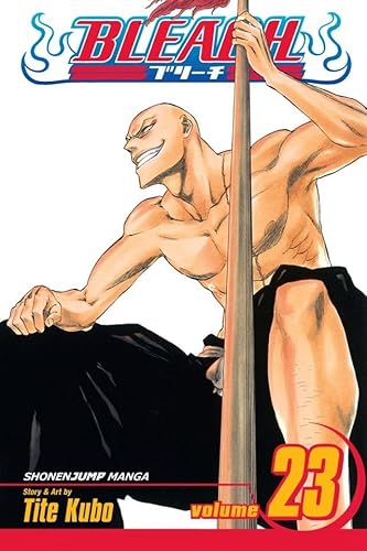 Bleach, Vol. 23: iMala Suerte!