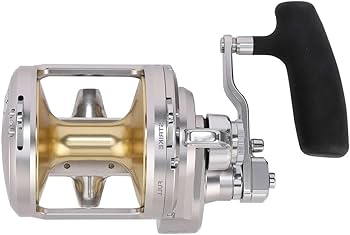 Amazon | シマノ(SHIMANO) TALICA A コンベンショナルリール (TAC25IIA