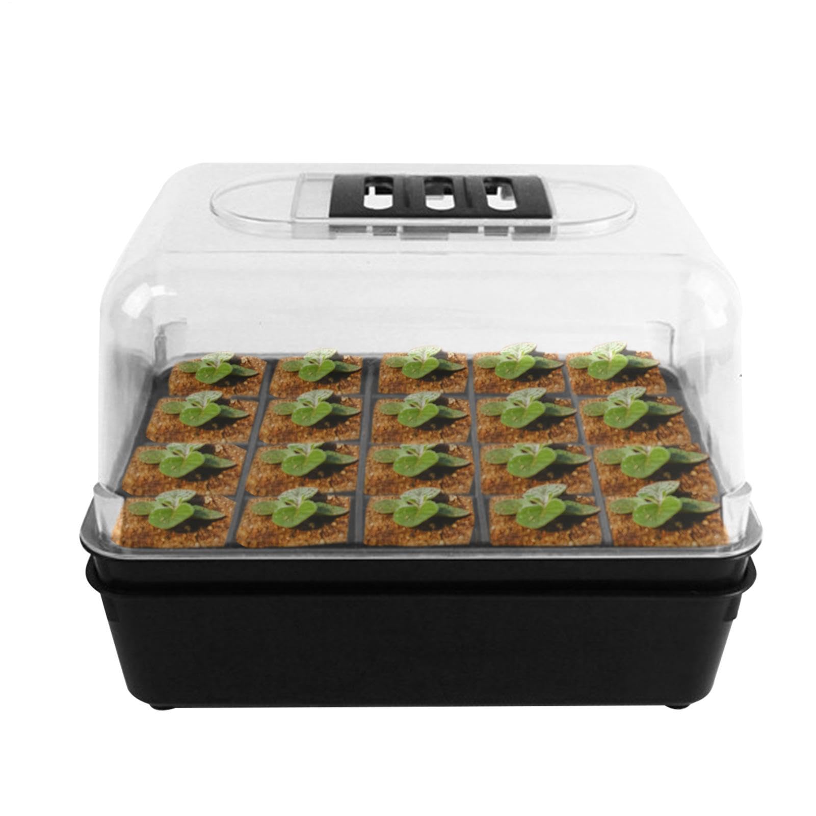 Conteneur pour en division avec plateau de germination robuste pour serre et cour
