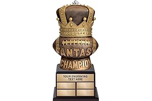 14" Fantasy Football Champion Onyx Perpetual Trophy Custom Award