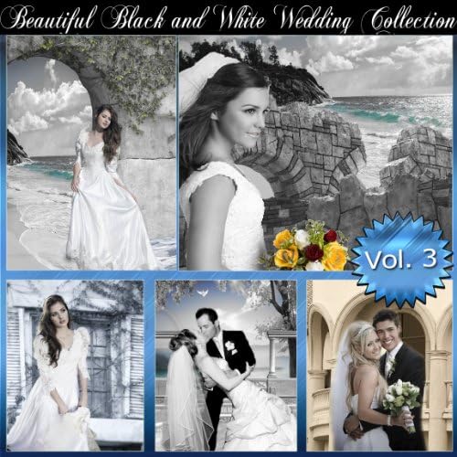 Beautiful Black and White Digital Backgrounds Photography Backdrops Wedding Vol. 3