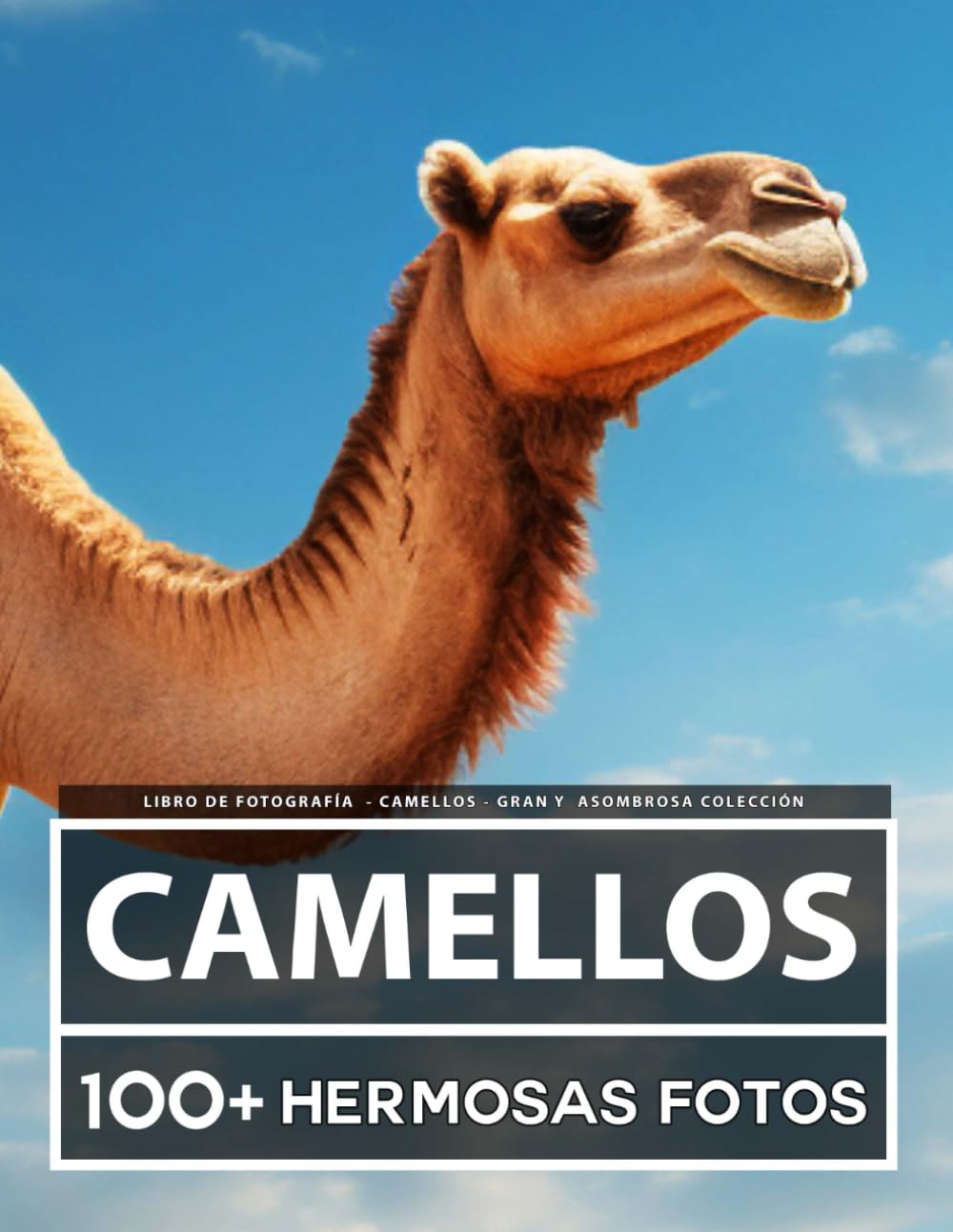 Libro De Fotografía - Camellos - Gran y Asombrosa Colección: 100 Hermosas Fotos En Este Fantástico Libro De Fotos De Camellos - Para Niños y Adultos