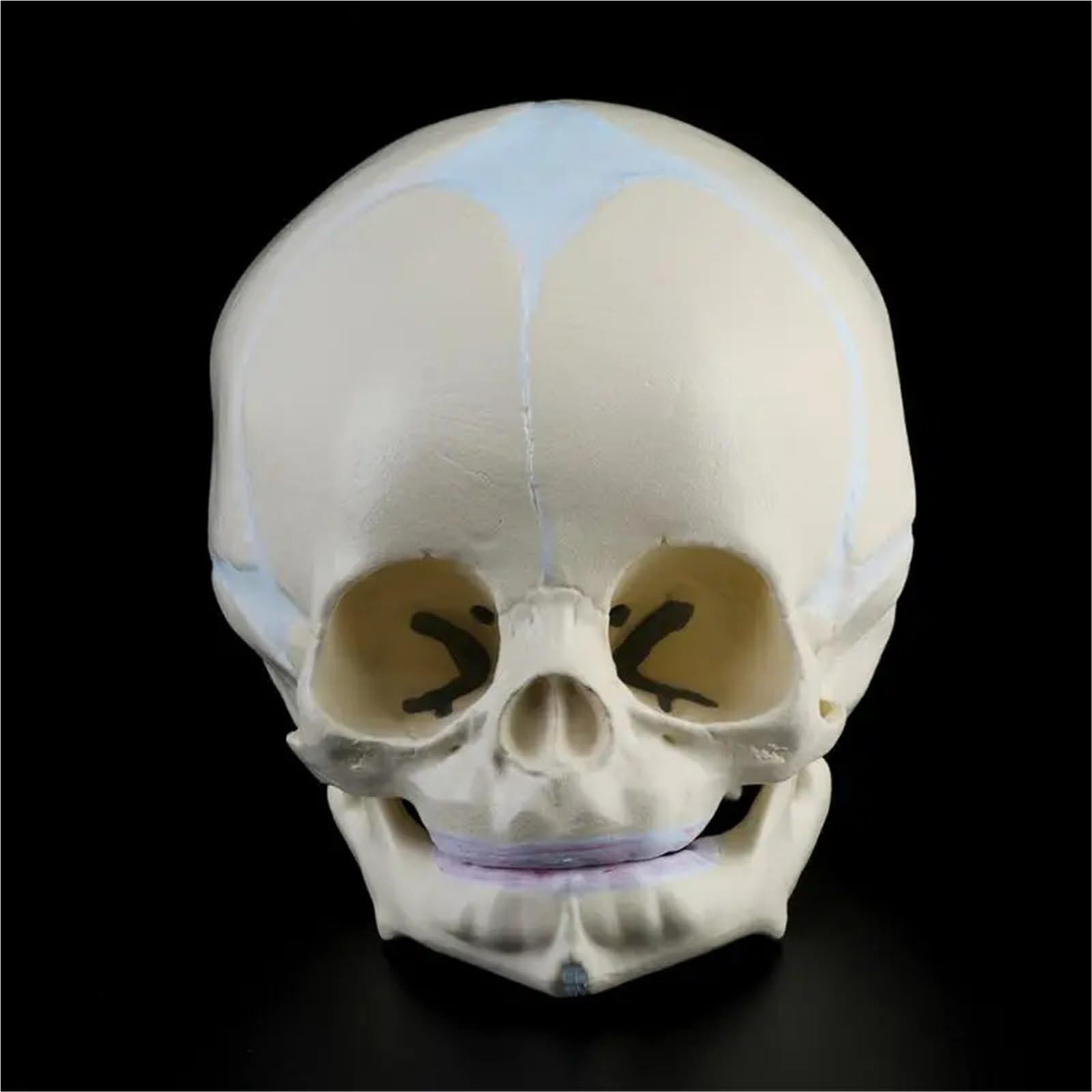 1: 1 Ludzki Płód Niemowlę Niemowlę Medyczna Czaszka Anatomiczny Model Szkieletu Materiały Dydaktyczne do Nauki Medycznej