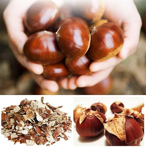 Miniatura 3 de Polvo de extracto de cáscara interna de castaño puro orgánico natural -10.58 onzas (10.58 oz)