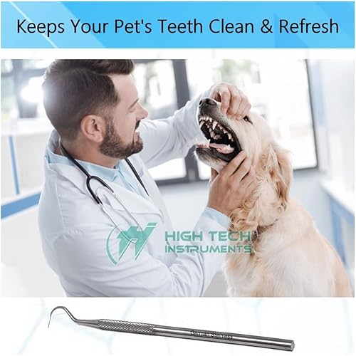 Miniatura 3 de Herramienta de cuidado dental Explorer 23 para eliminar la placa y el sarro en casa hecha de acero inoxidable con puntas de precisión diseño de