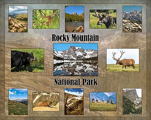 Rocky Mountain National Park Composite Quilt Panel - NPW-001, Panel Size is 40” X 32”, Quality Quilting Cotton, Digitally Printed