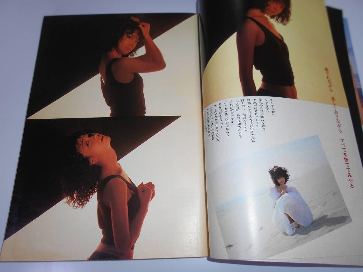 希少 週刊プレイボーイ 1985年/昭和60年 全52号51冊揃 希少 週刊プレイボーイ 1985年/昭和60年 全52号51冊揃 希少 週刊